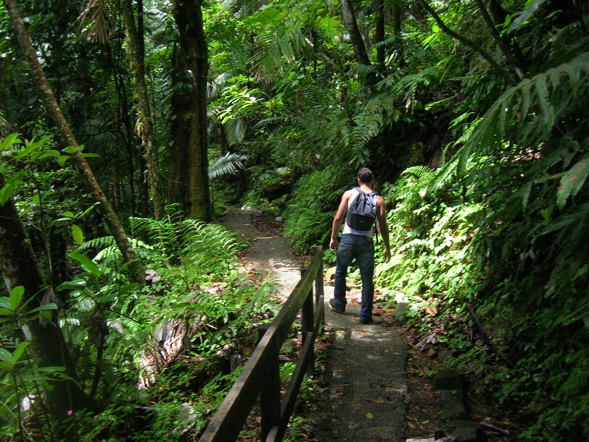 Rutas de senderismo cerca de nuestras propiedades